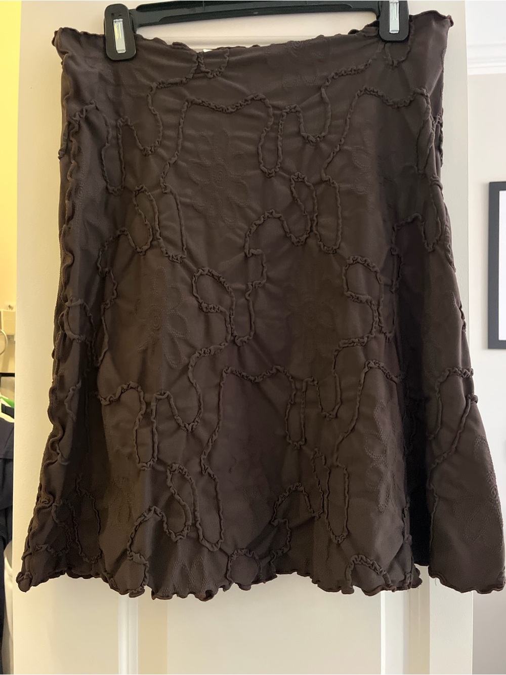 Brown A-Line Skirt with Textured Loop Embroidery